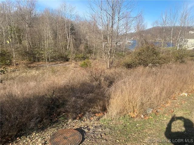 $675,000 | Tbd Pebble Beach Lane, Lake Ozark, MO 65049
