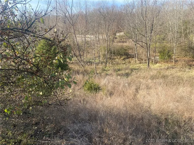 $675,000 | Tbd Pebble Beach Lane, Lake Ozark, MO 65049