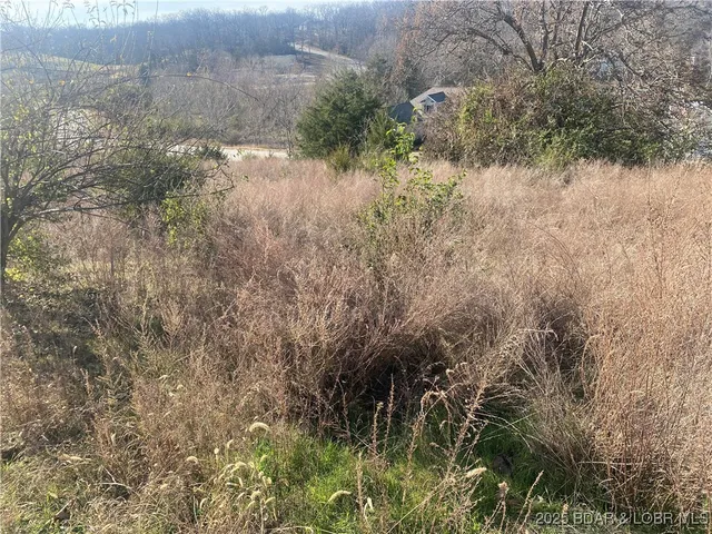 $675,000 | Tbd Pebble Beach Lane, Lake Ozark, MO 65049