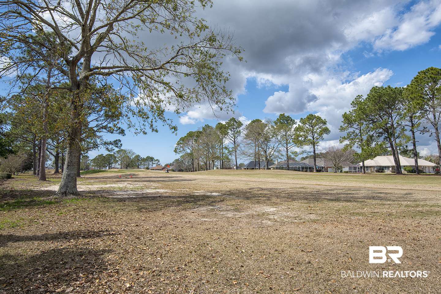 22645 South County Road 12 Foley, AL 36535 - Photo 15 of 42