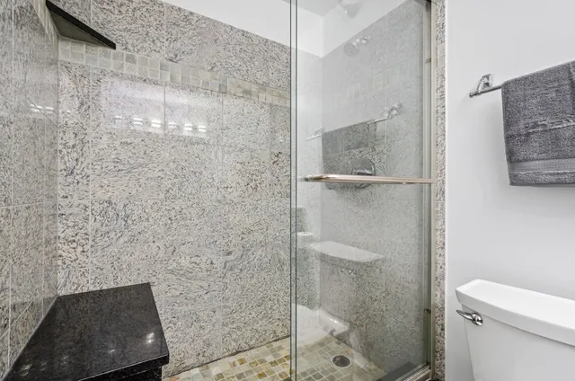 a bathroom with a shower and toilet