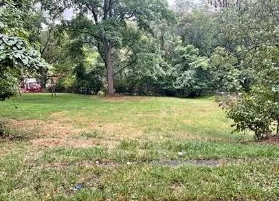 a view of a yard with a trees