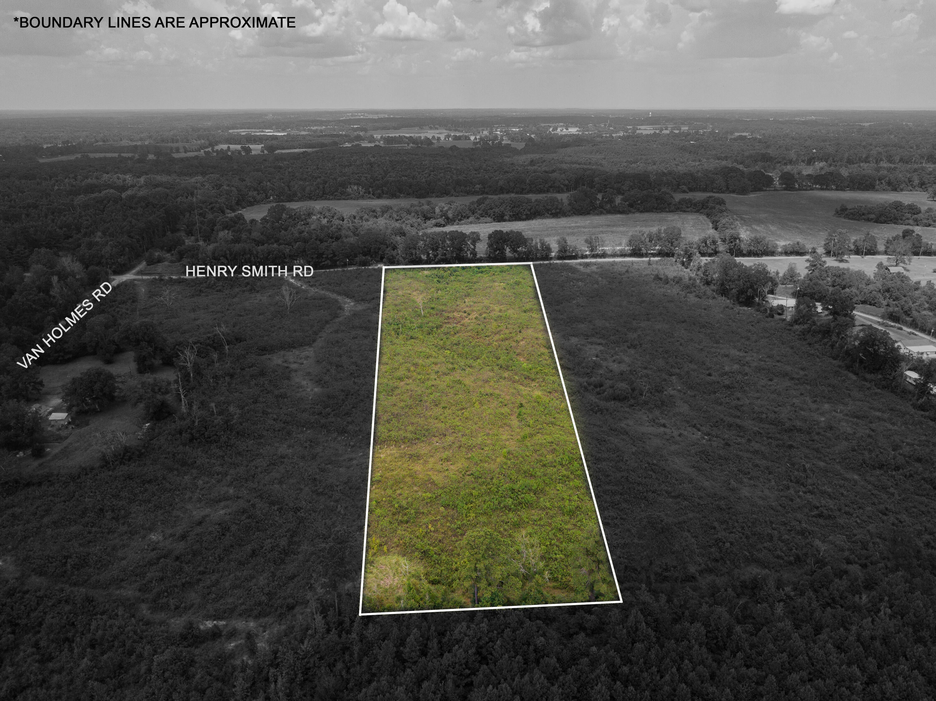 0 Henry Smith Road Tylertown, MS 39667 - Photo 8 of 32 Gallery Image 8