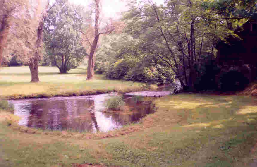 115 Merwinsburg Road Effort, PA 18330 - Photo 2 of 6 a view of yard with trees