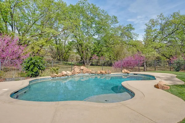 a view of a field with trees in the background