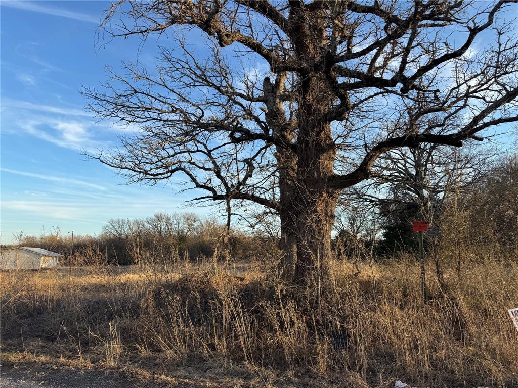 Seven West Jess Hinton Road Kemp, TX 75143 - Photo 3 of 8 a view of a tree in a field