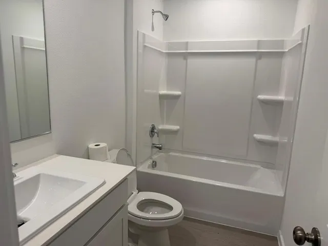 a bathroom with a shower and a toilet