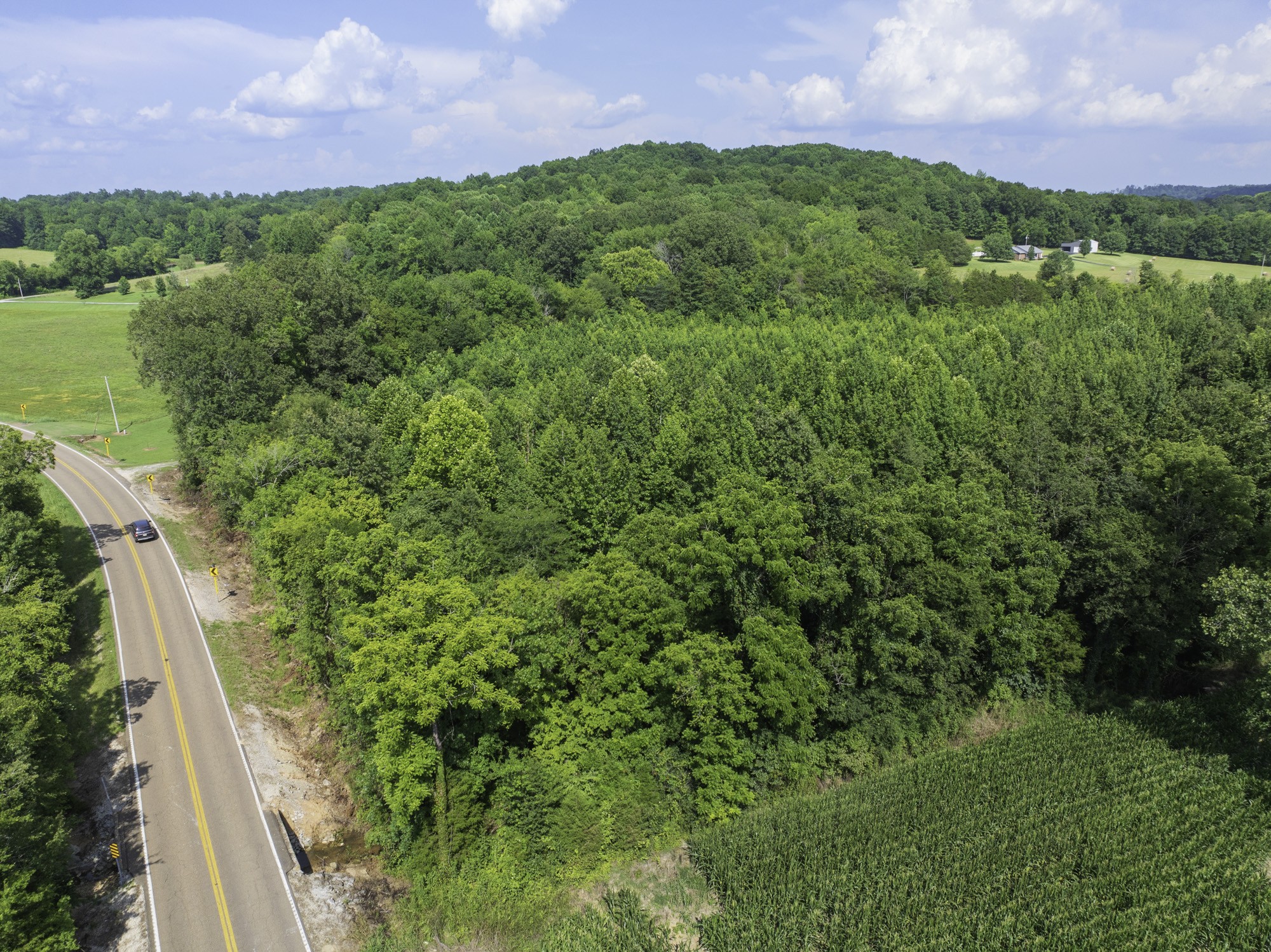 a view of a garden with a building in the background