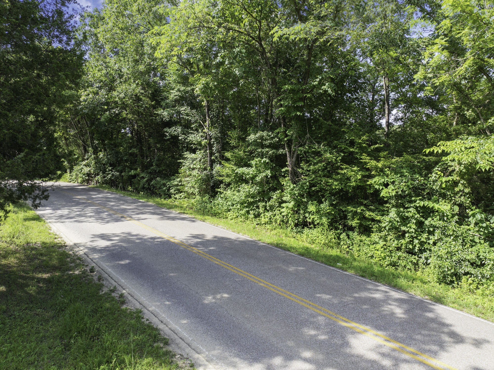 0 Highway 100 Decaturville, TN 38329 - Photo 11 of 15 a view of a yard with a trees
