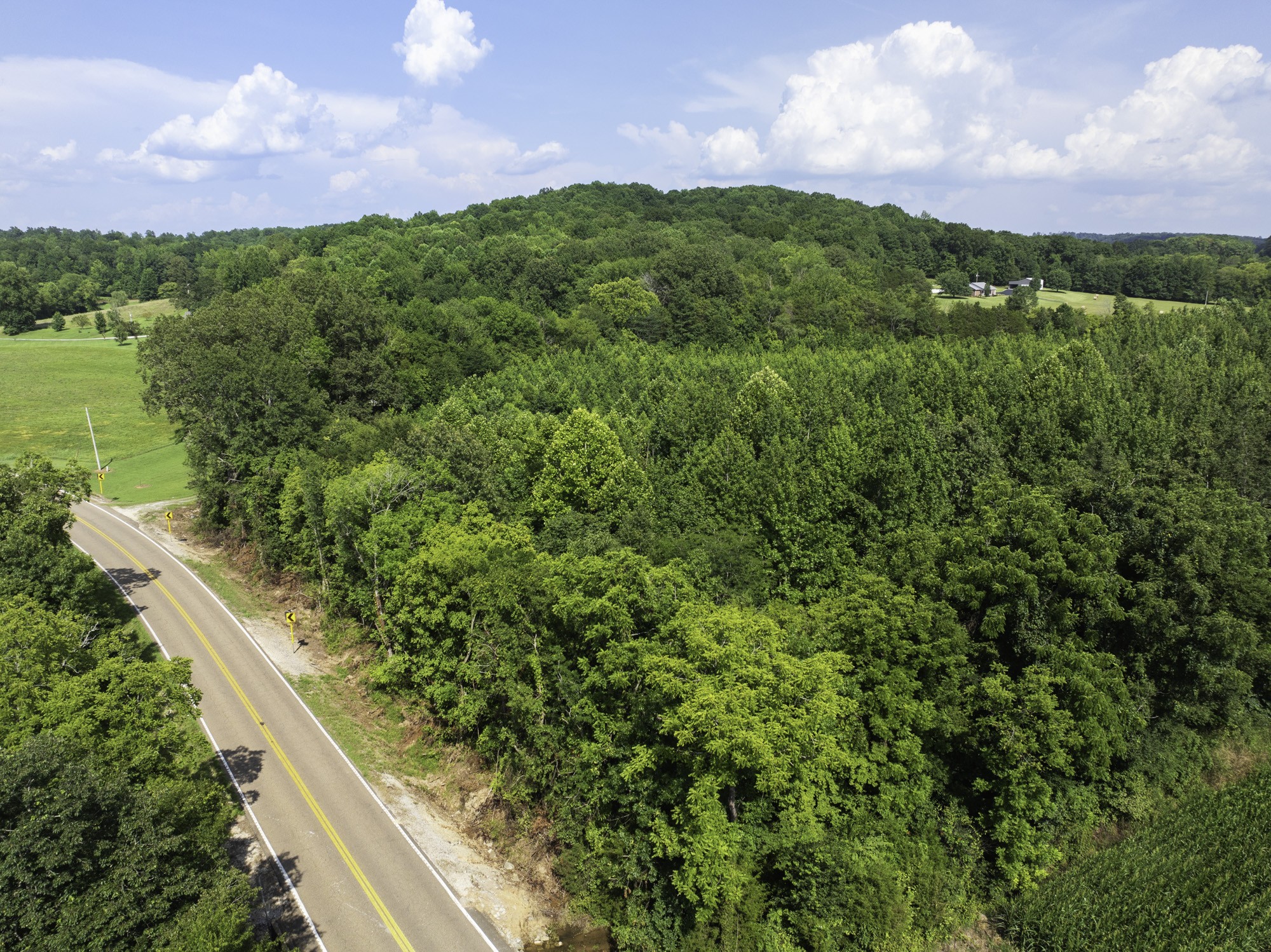 0 Highway 100 Decaturville, TN 38329 - Photo 12 of 15 a view of a green field with lots of bushes