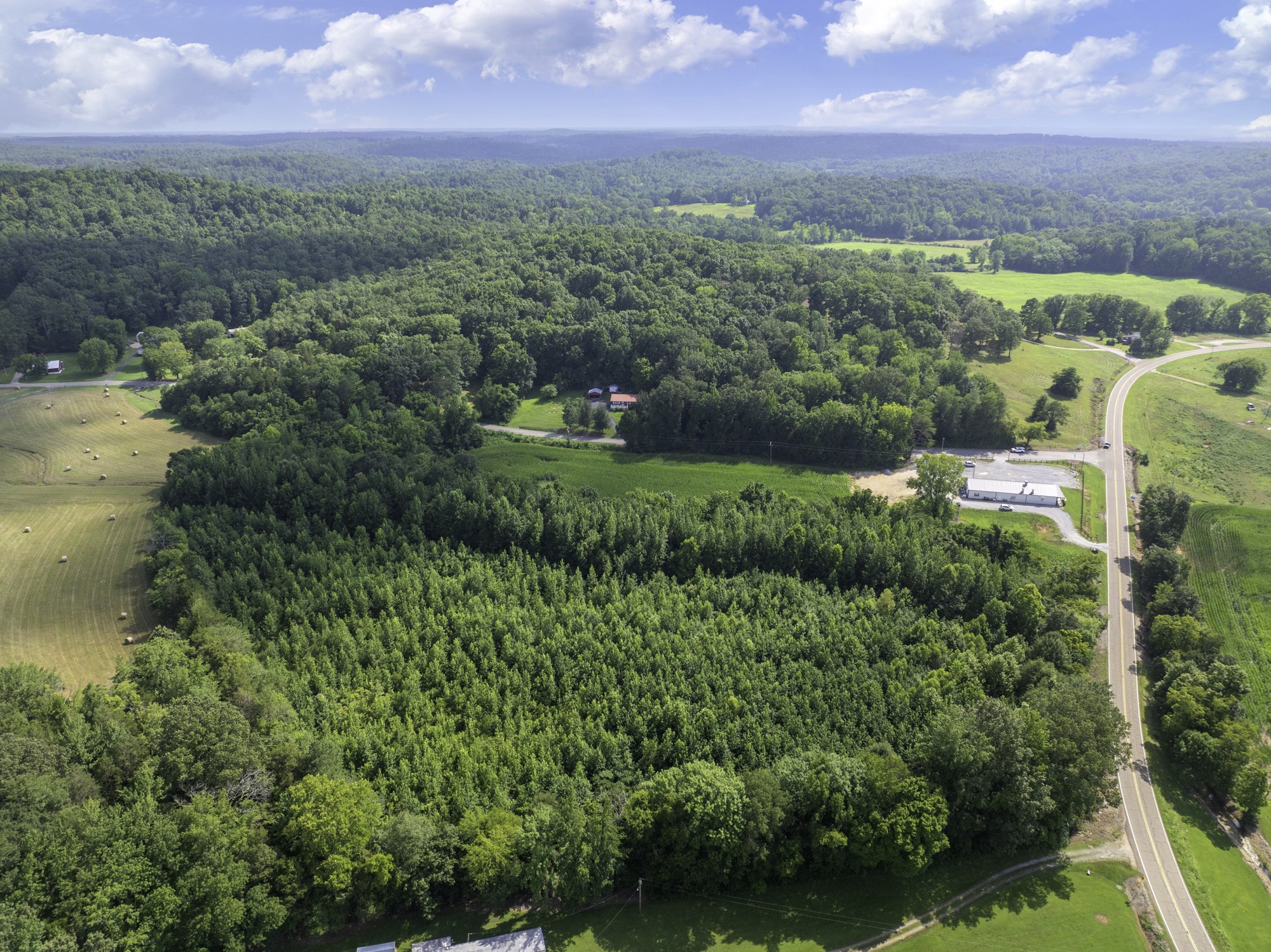 0 Highway 100 Decaturville, TN 38329 - Photo 14 of 15