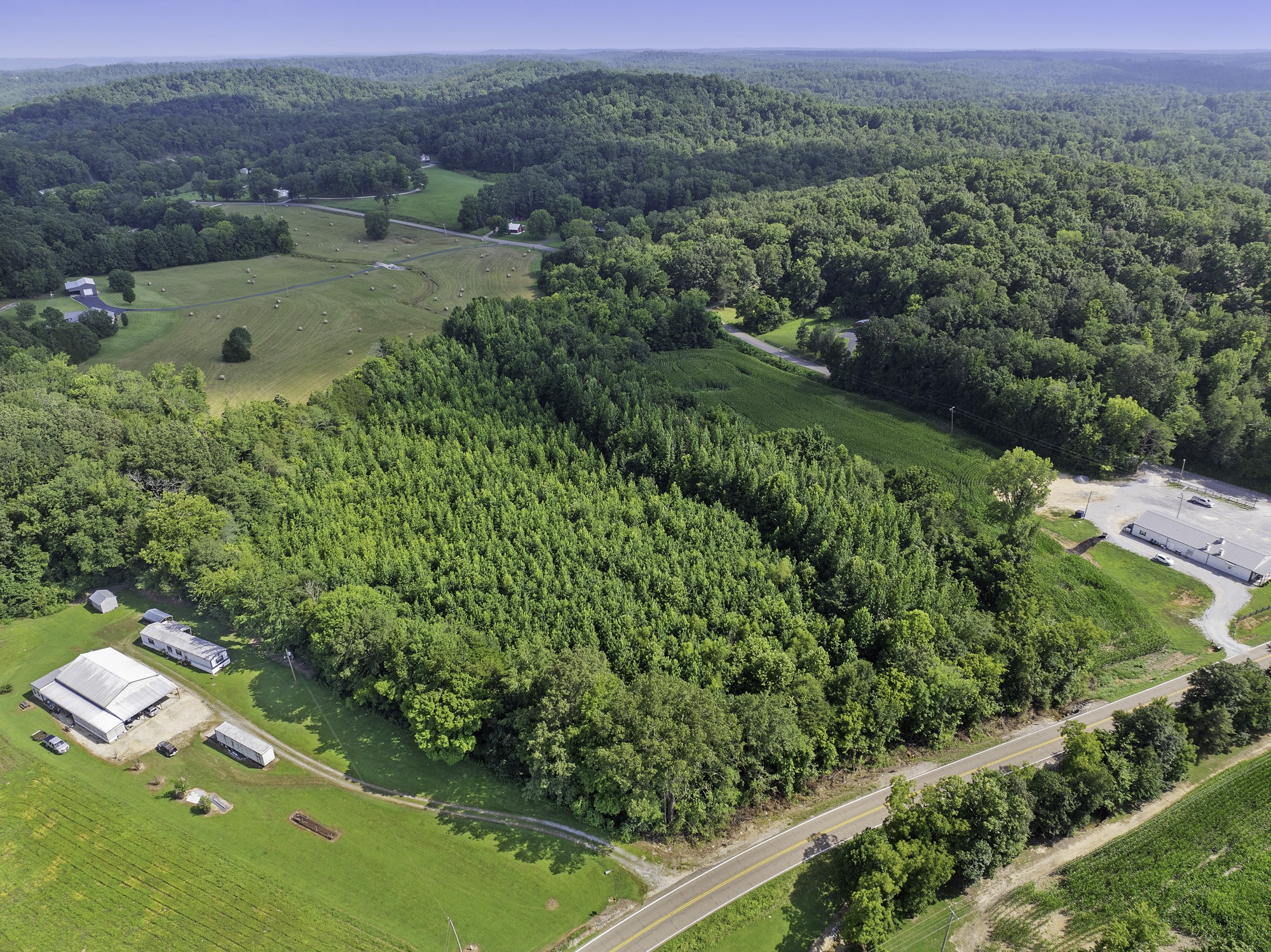 0 Highway 100 Decaturville, TN 38329 - Photo 15 of 15 an aerial view of green landscape with trees houses and mountain view
