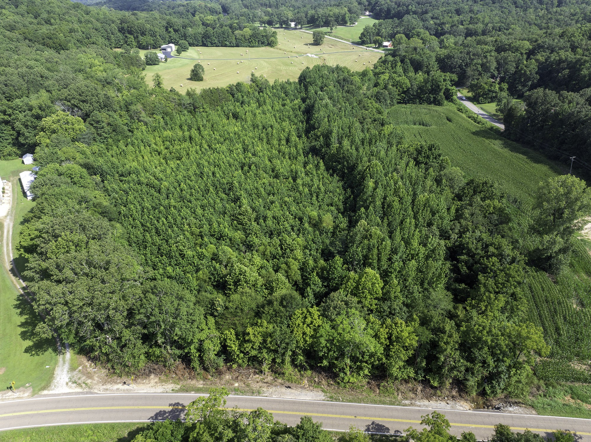 0 Highway 100 Decaturville, TN 38329 - Photo 3 of 15 a view of a lush green space and lake view