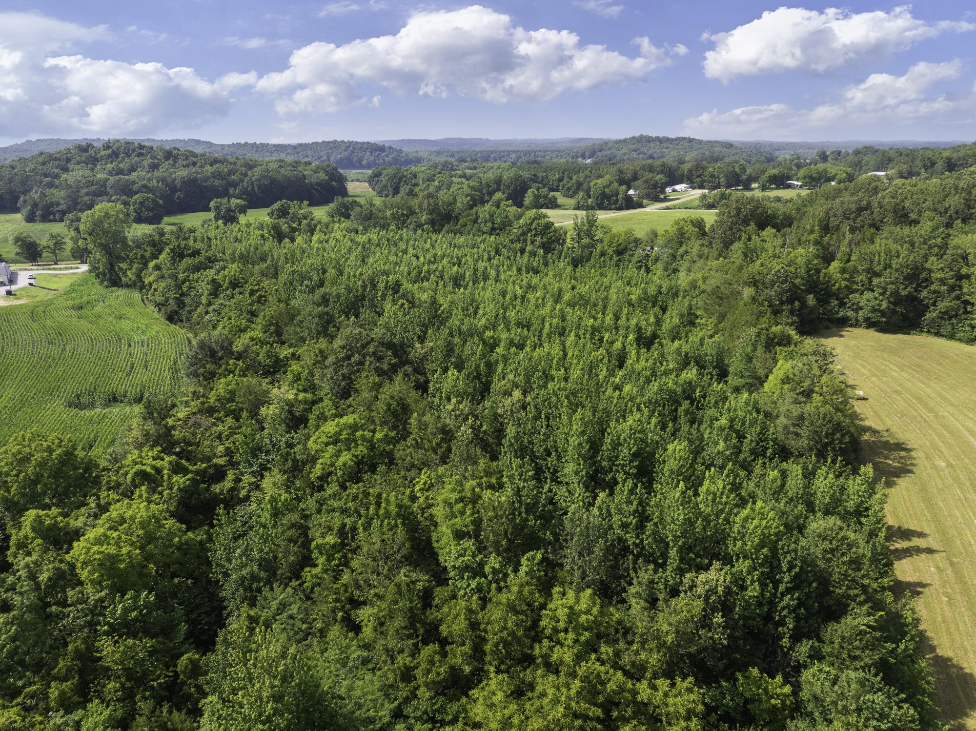 0 Highway 100 Decaturville, TN 38329 - Photo 4 of 15 a view of a green field with lots of bushes