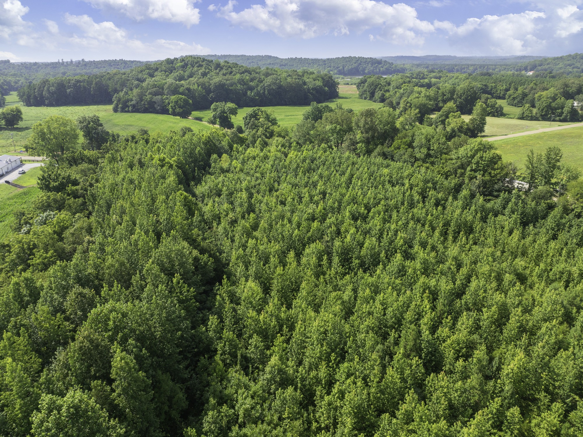 0 Highway 100 Decaturville, TN 38329 - Photo 5 of 15 a view of a lush green outdoor space with a lake view
