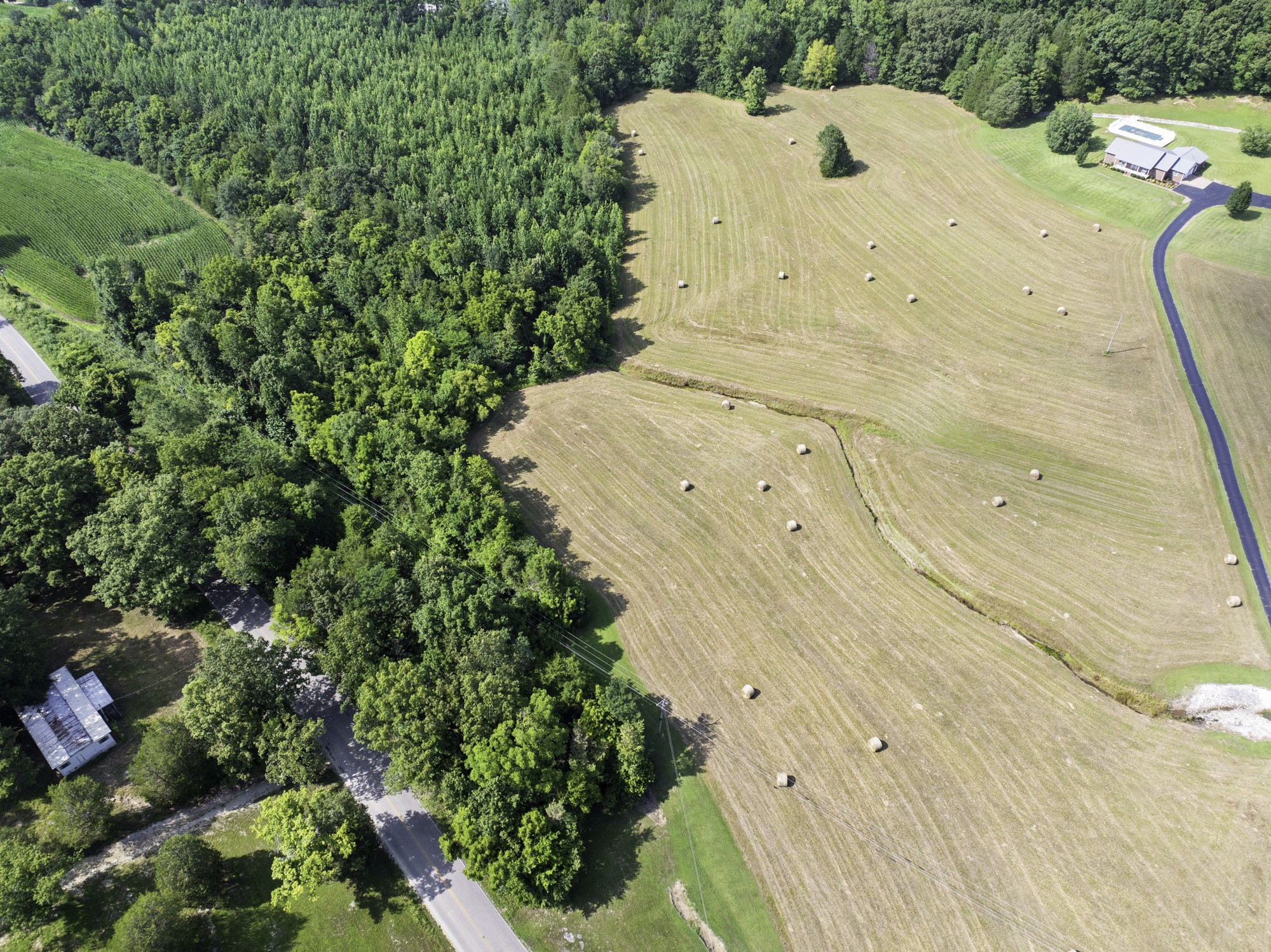 0 Highway 100 Decaturville, TN 38329 - Photo 7 of 15 a view of a swimming pool with a yard