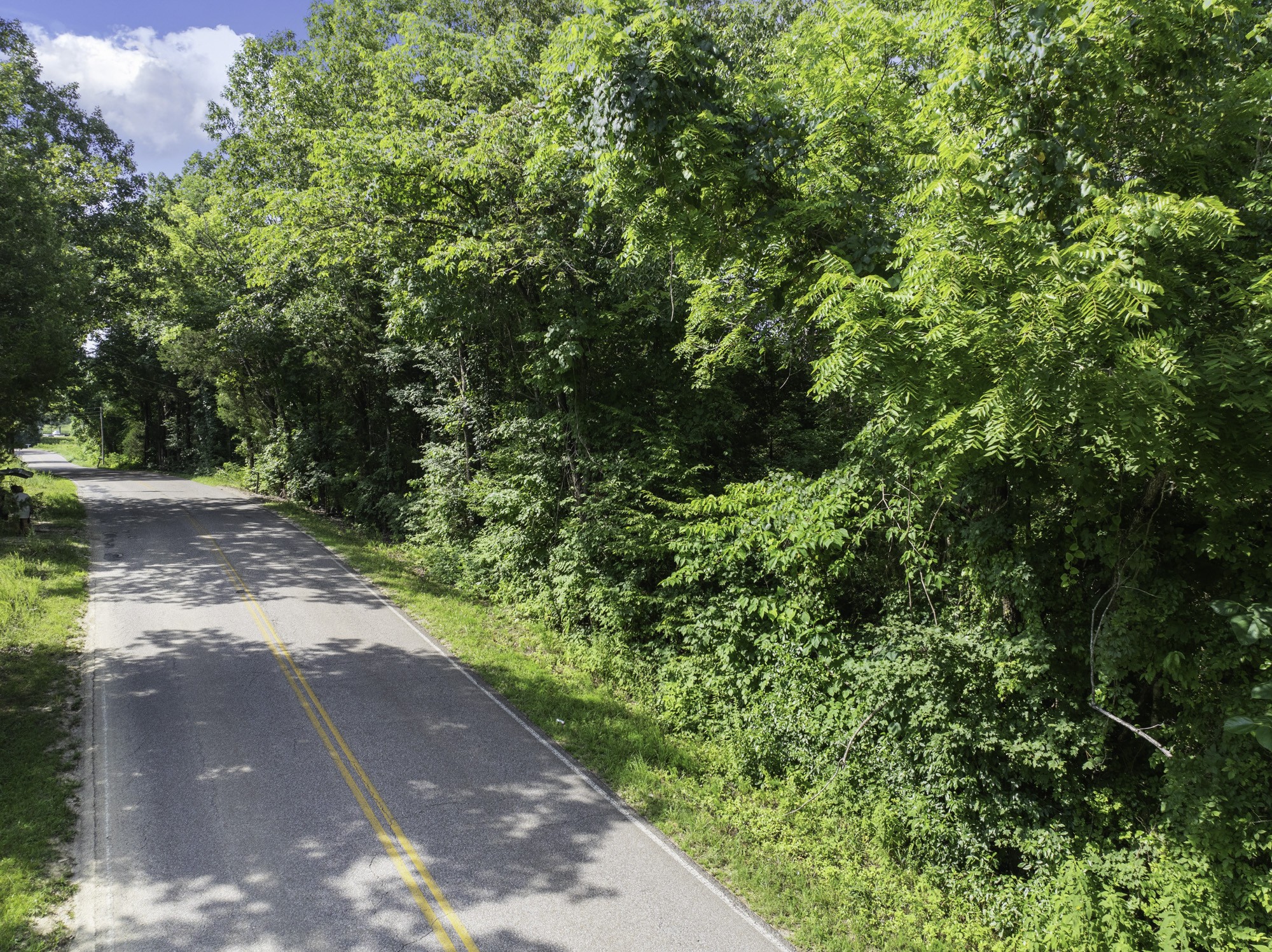0 Highway 100 Decaturville, TN 38329 - Photo 10 of 15 a view of a yard with plants and a small yard