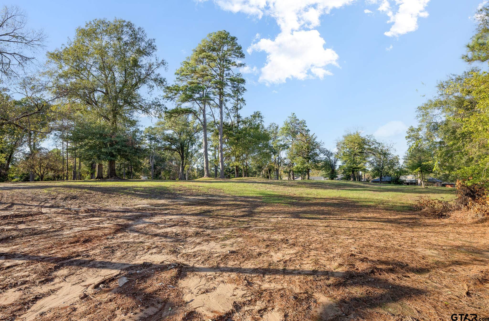 2010 McDonald Road Tyler, TX 75701 - Photo 12 of 13