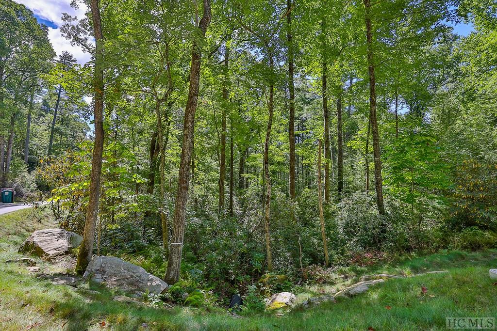 Lot 86 Flagstone Road Sapphire, NC 28774 - Photo 26 of 45 Gallery Image 26