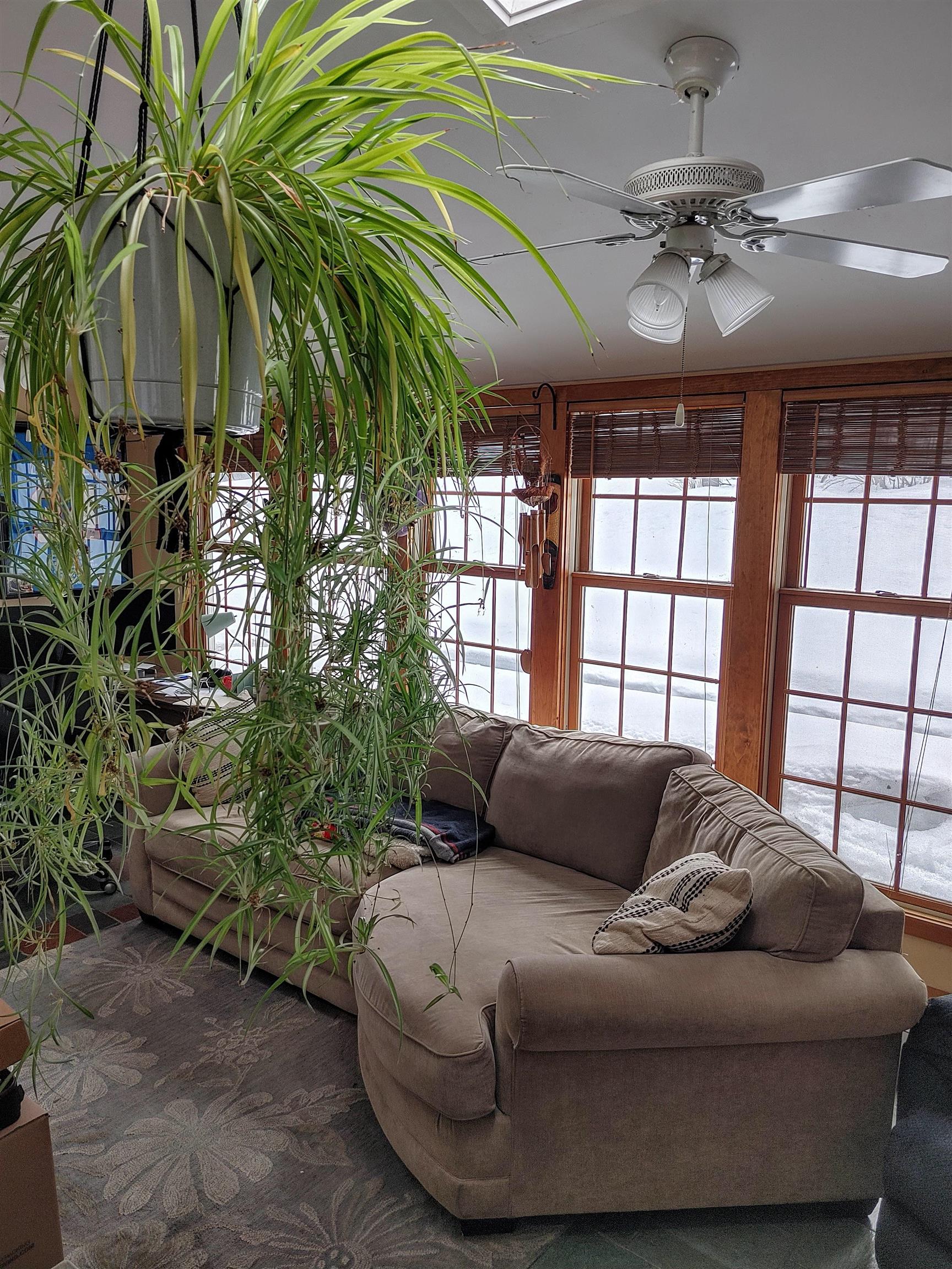 2317 Rte 12 Northfield, VT 05663 - Photo 24 of 38