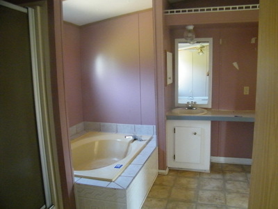 4253 Joppa Mill Road Moneta, VA 24121 - Photo 5 of 10 Master Bath