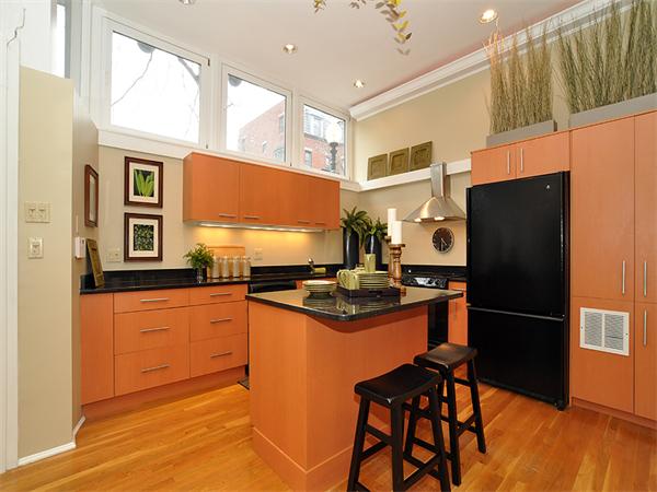 9 Worcester Street, Unit 1 Boston, MA 02118 - Photo 4 of 12