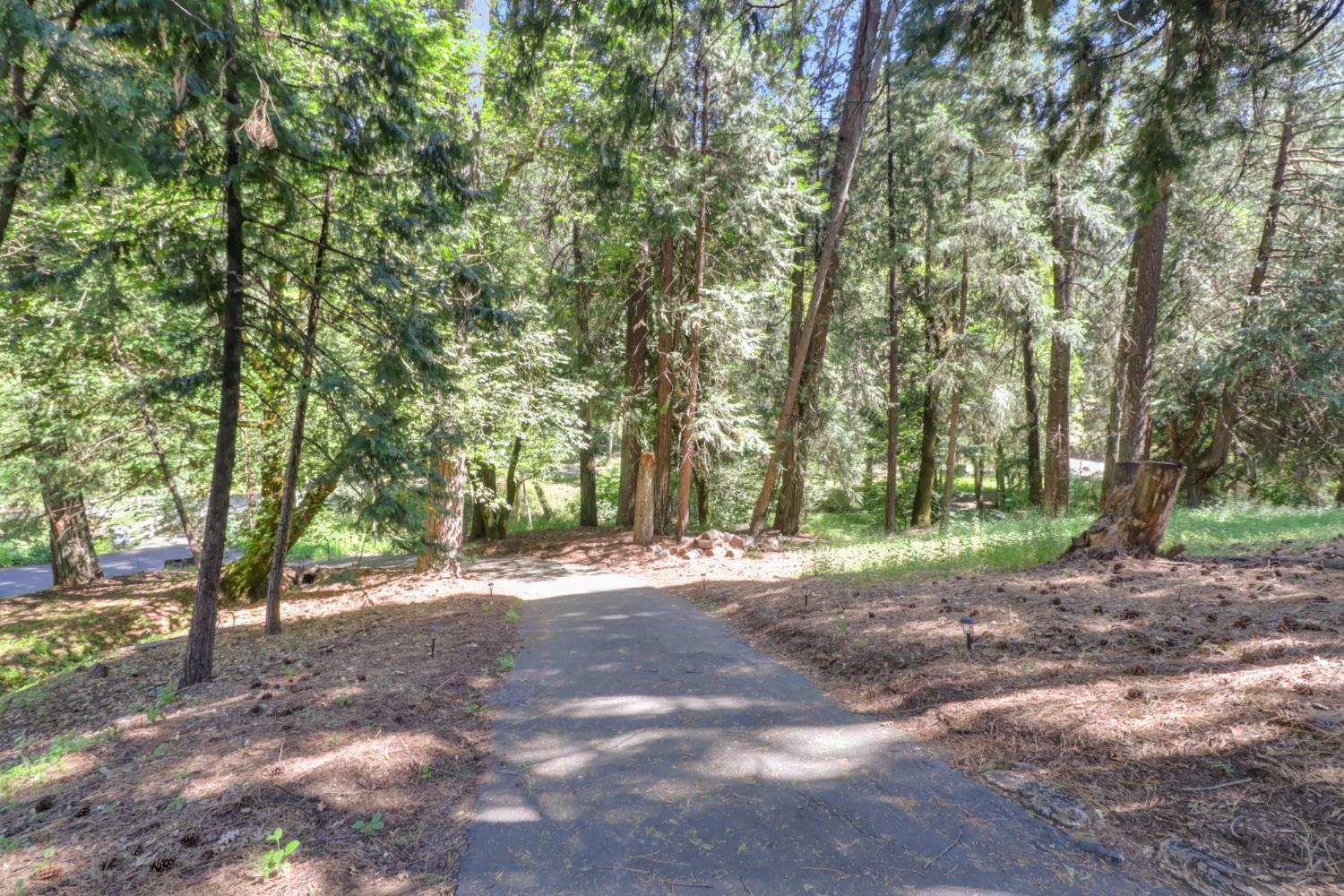 4909 Clear Creek Road Placerville, CA 95667 - Photo 61 of 66