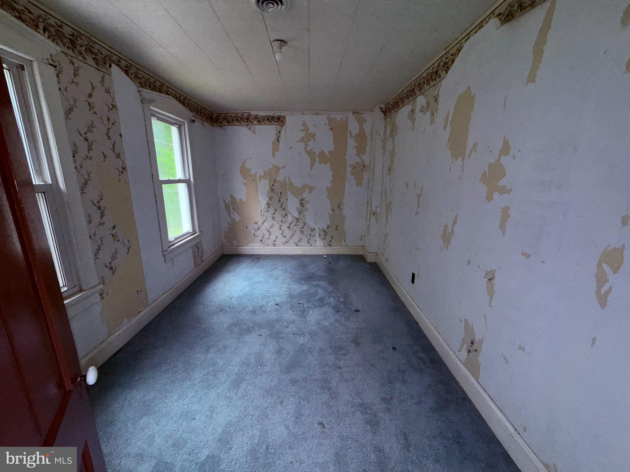 18705 Temperance Row Barton, MD 21521 - Photo 50 of 62 Blank canvas for your vision.