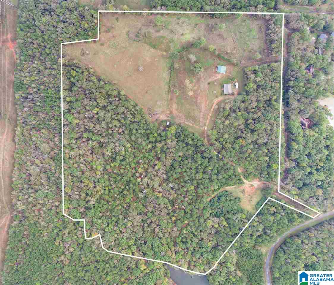 577 Wright Way Drive Wedowee, AL 36278 - Photo 27 of 39