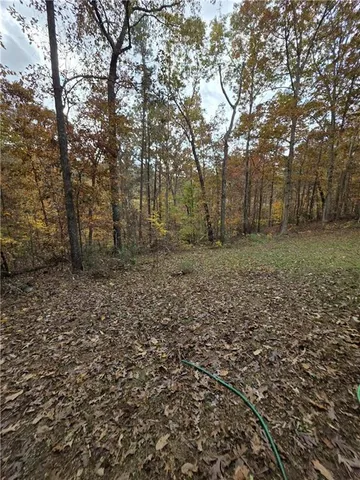 a big yard with lots of green space