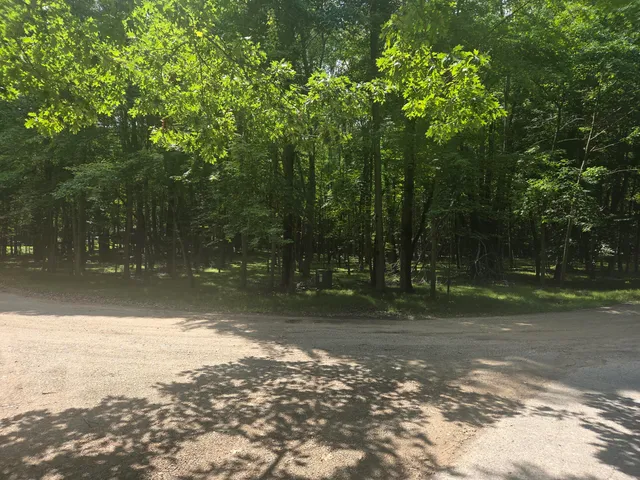 $2,900 | 12121 Trail Creek Drive, Stanwood, MI 49346