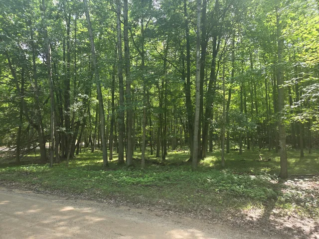 $2,900 | 12121 Trail Creek Drive, Stanwood, MI 49346