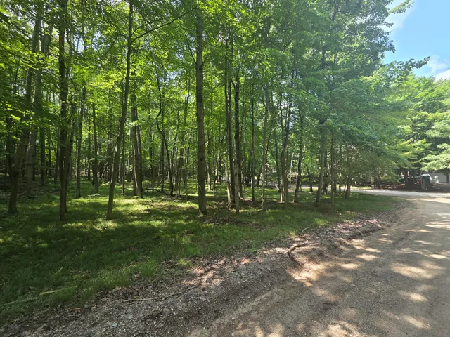 $2,900 | 12121 Trail Creek Drive, Stanwood, MI 49346