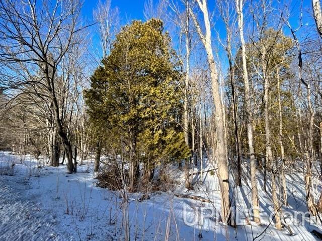 Tbd Tbd Canal Road Houghton, MI 49931 - Photo 10 of 19