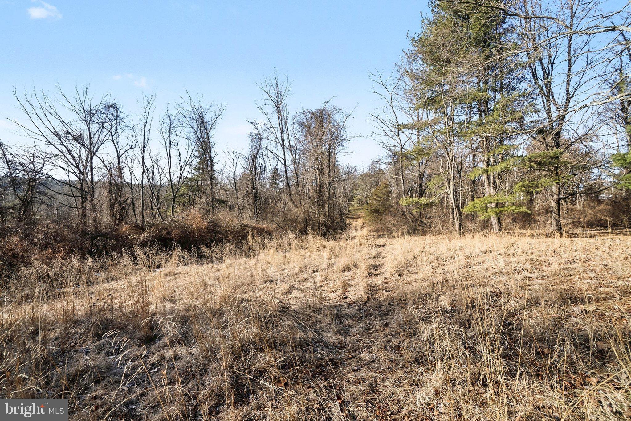 0 Paradise Road Duncannon, PA 17020 - Photo 4 of 22