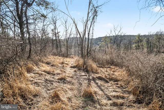 a view of a yard covered with snow