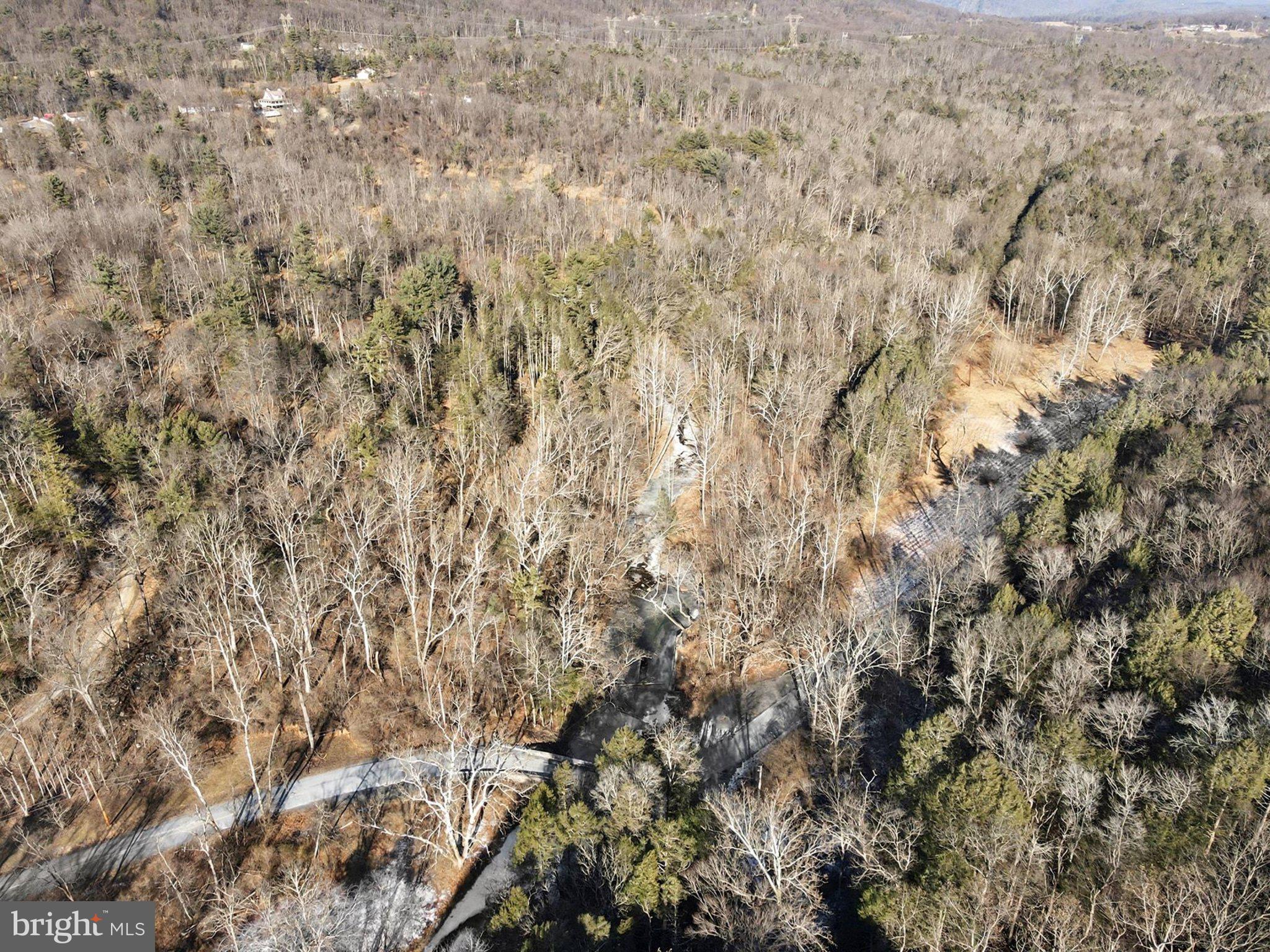 0 Paradise Road Duncannon, PA 17020 - Photo 9 of 22