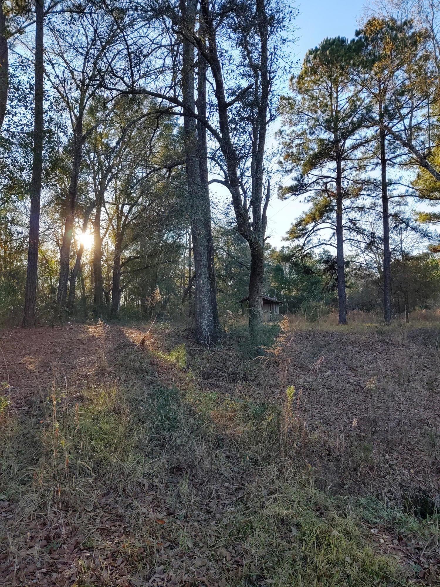25 Sandy Smith Road Poplarville, MS 39470 - Photo 11 of 13 IMG_20191230_160748927_HDR