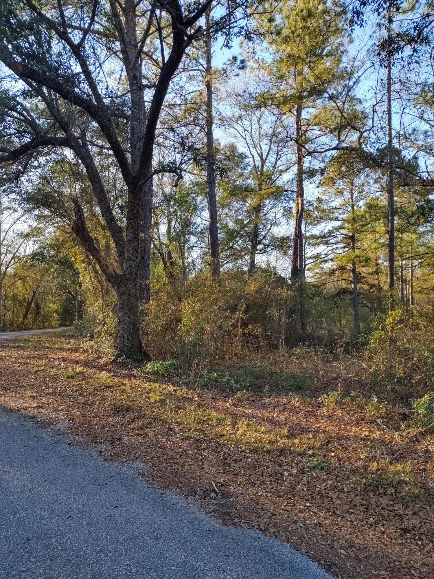 25 Sandy Smith Road Poplarville, MS 39470 - Photo 2 of 13 IMG_20191230_160430996_HDR