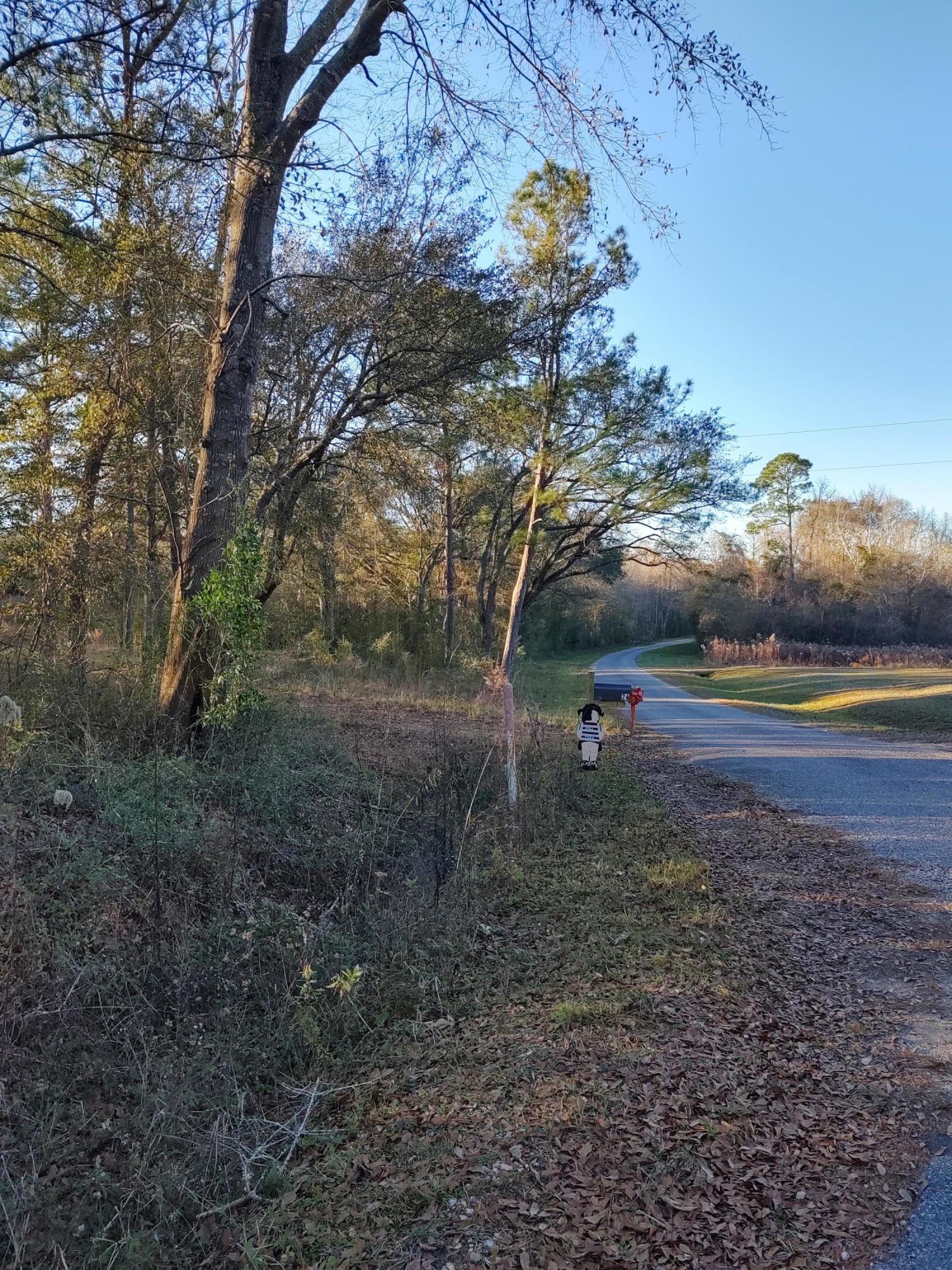 25 Sandy Smith Road Poplarville, MS 39470 - Photo 3 of 13 IMG_20191230_160442844_HDR