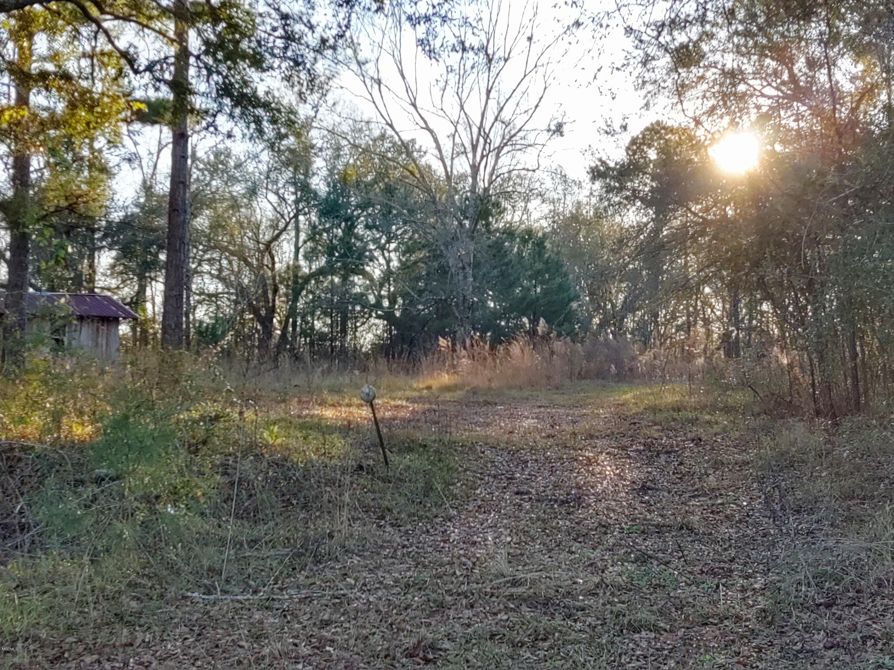 25 Sandy Smith Road Poplarville, MS 39470 - Photo 4 of 13 IMG_20191230_160849575_HDR