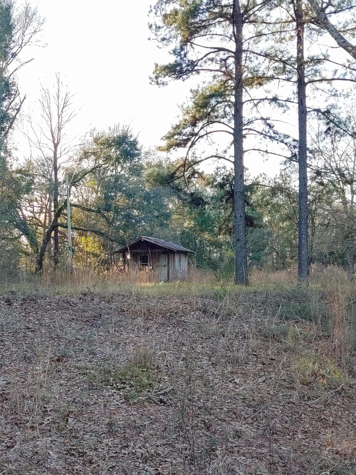 25 Sandy Smith Road Poplarville, MS 39470 - Photo 5 of 13 IMG_20191230_160805071_HDR