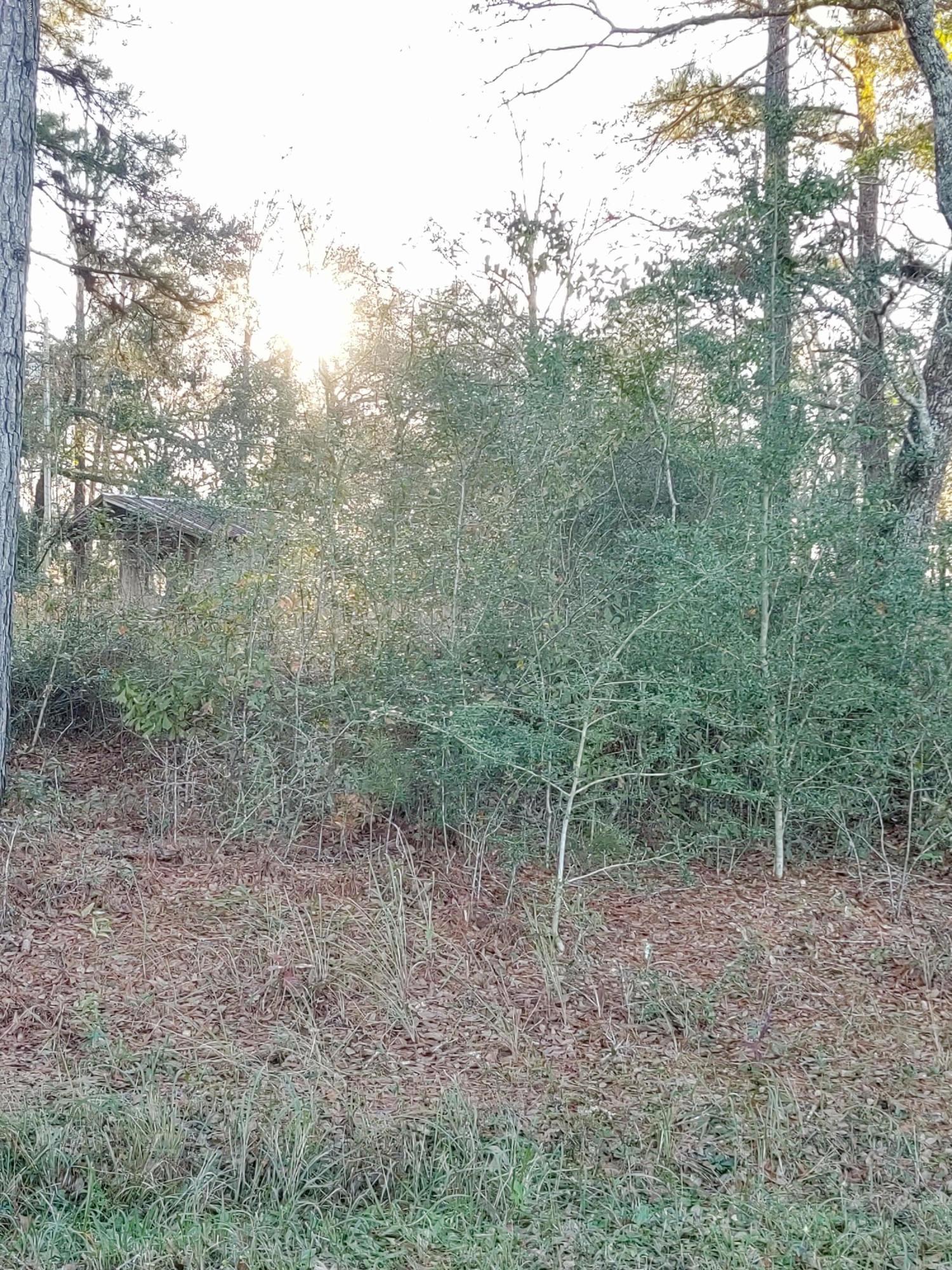 25 Sandy Smith Road Poplarville, MS 39470 - Photo 6 of 13 IMG_20191230_160821901_HDR