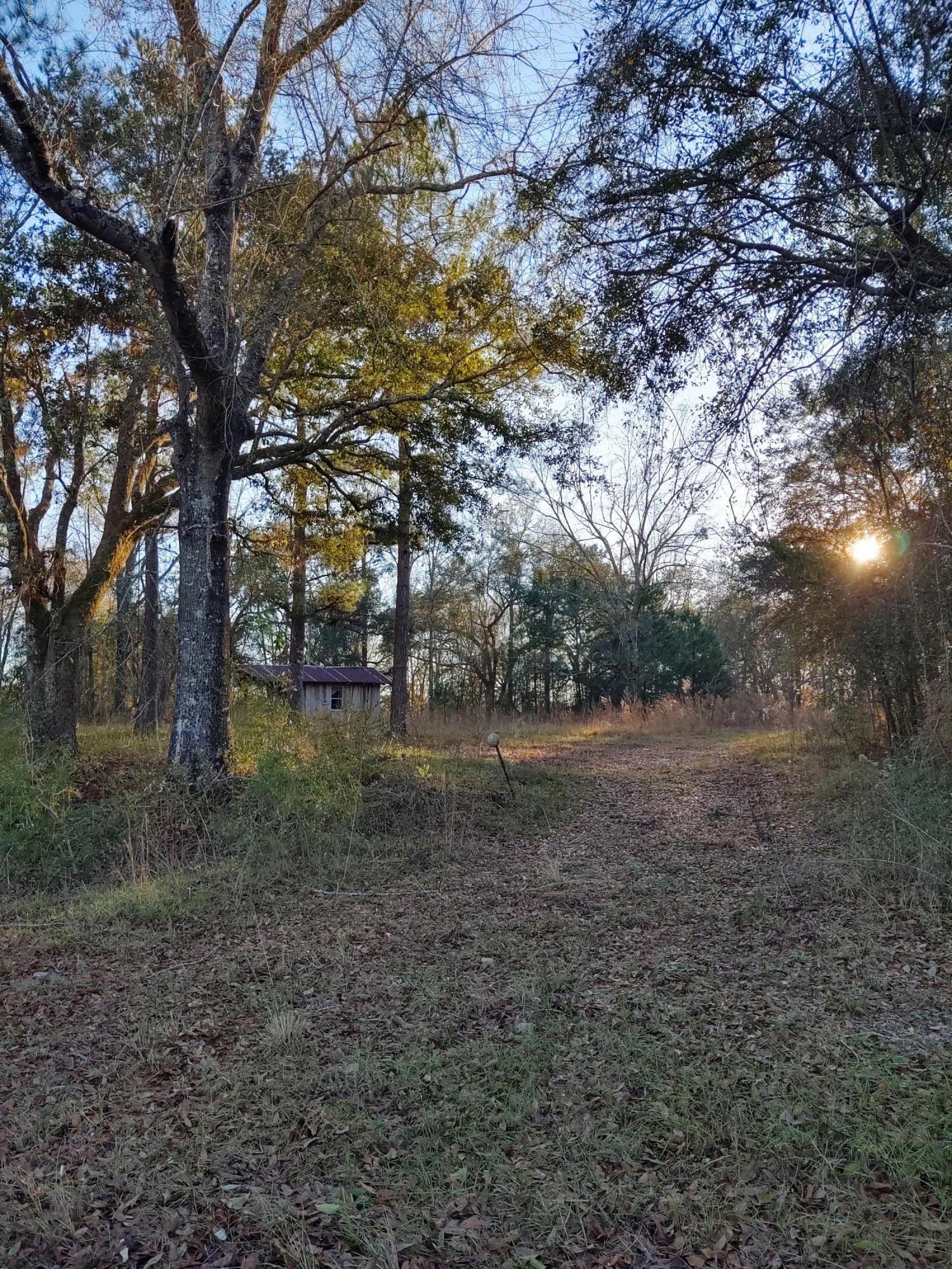 25 Sandy Smith Road Poplarville, MS 39470 - Photo 7 of 13 IMG_20191230_160946498_HDR