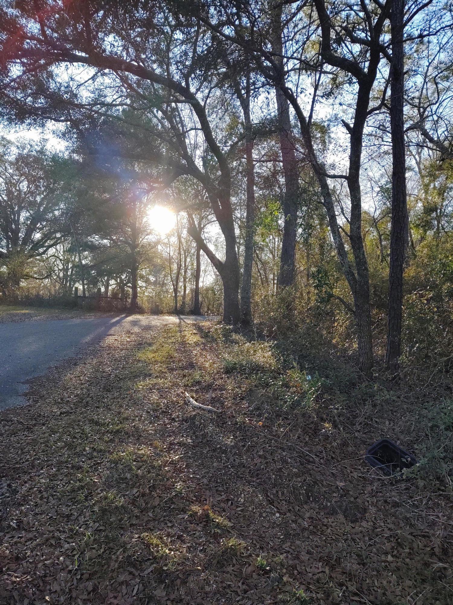 25 Sandy Smith Road Poplarville, MS 39470 - Photo 8 of 13 IMG_20191230_160445270