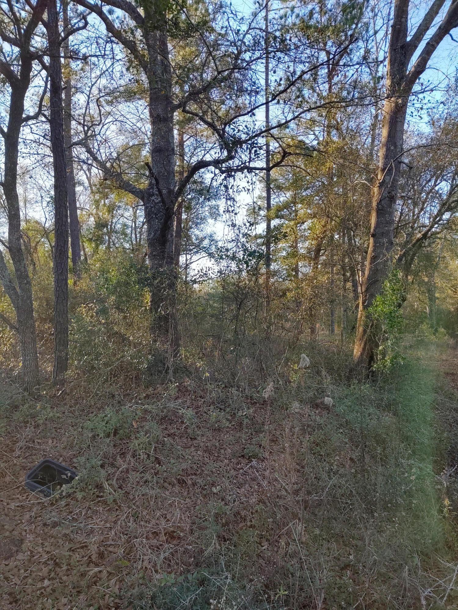 25 Sandy Smith Road Poplarville, MS 39470 - Photo 9 of 13 IMG_20191230_160447430_HDR