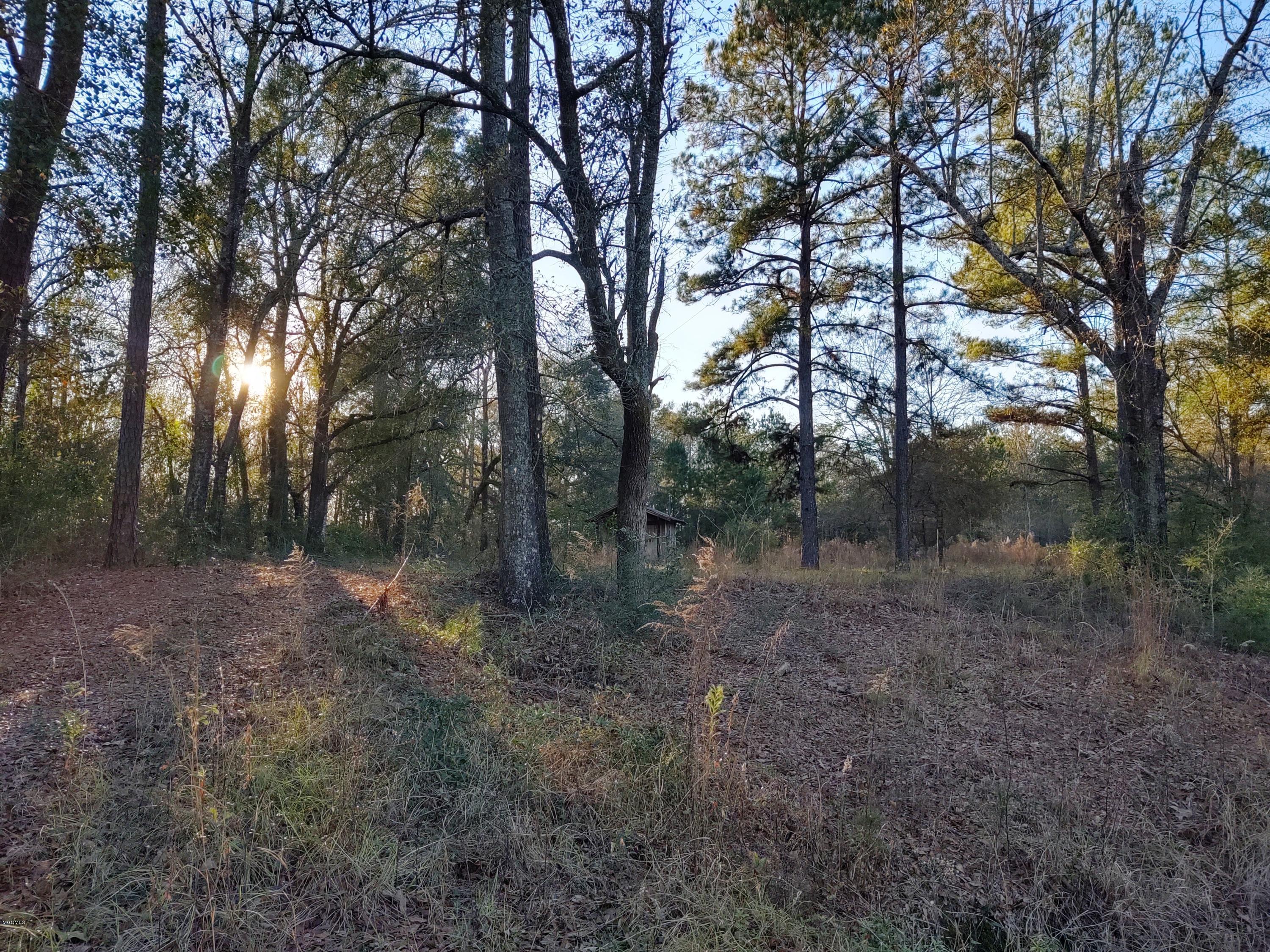 25 Sandy Smith Road Poplarville, MS 39470 - Photo 10 of 13 IMG_20191230_160745304_HDR