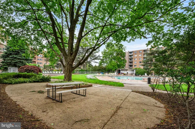 a park view with a bench and trees