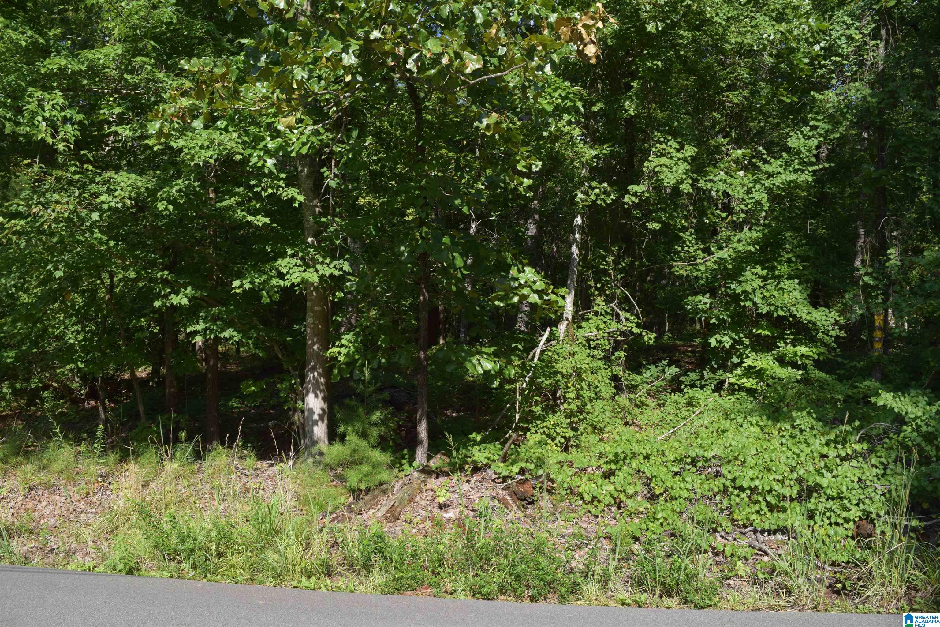 8401 Serene Lake Road, Unit 8401 McCalla, AL 35111 - Photo 3 of 7