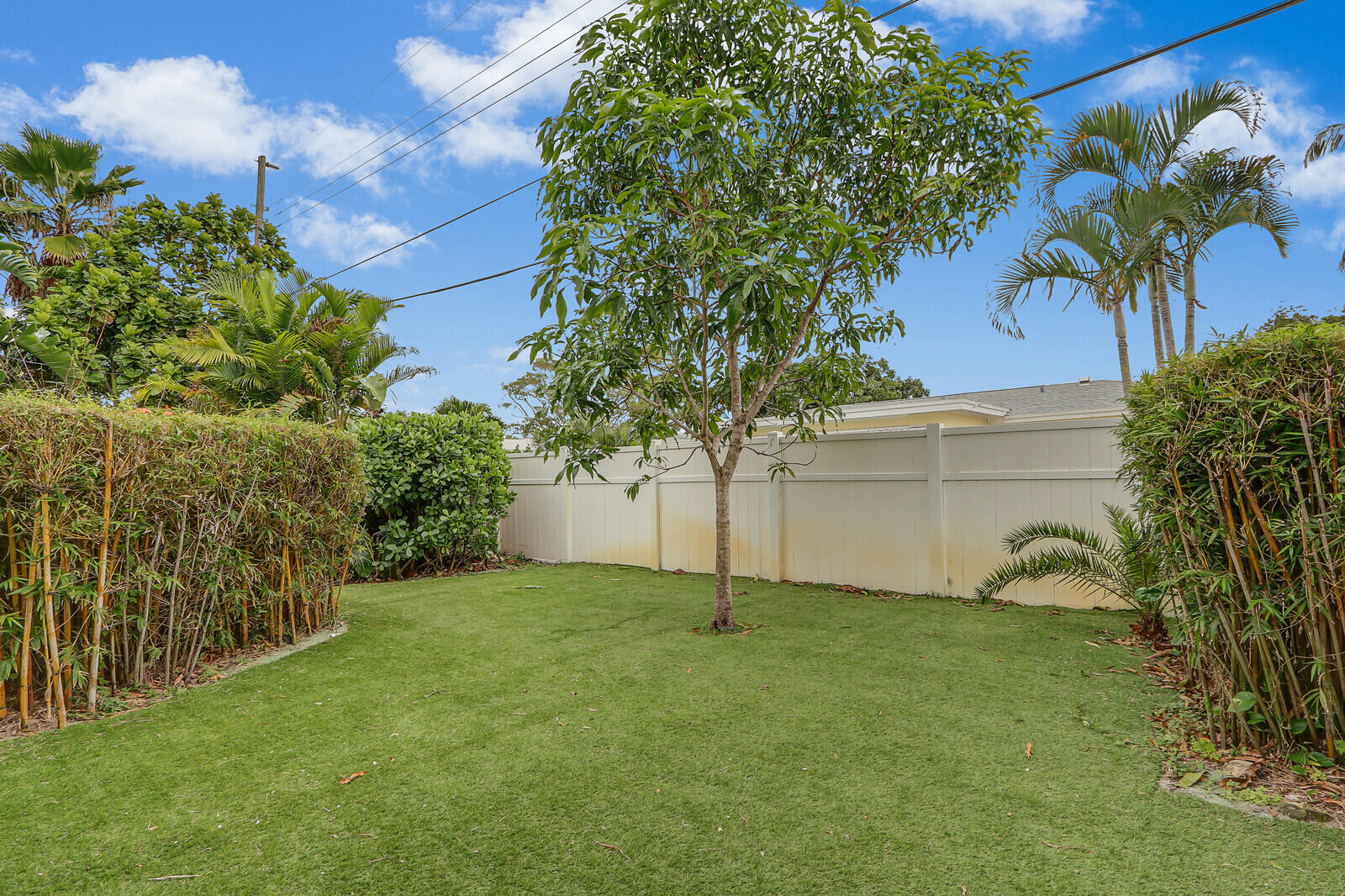 444 Inlet Road North Palm Beach, FL 33408 - Photo 35 of 40 Mango Tree